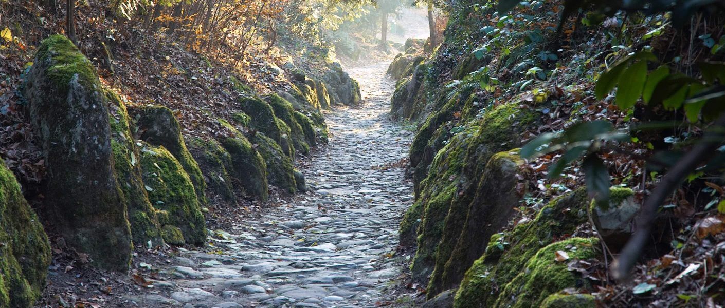 Hohlweg durch den Wald